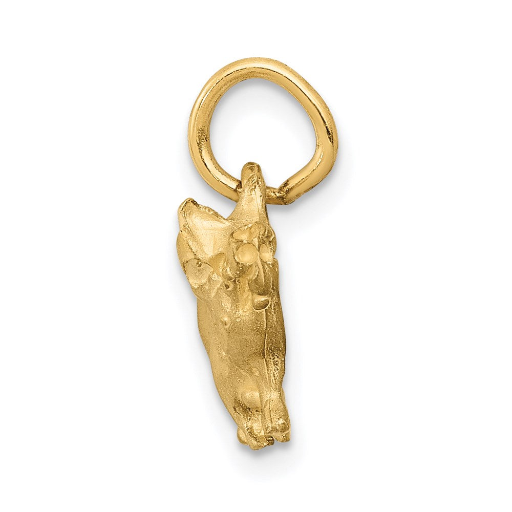 14K Gelbgold Schwein-Charm