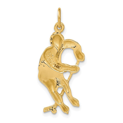 14K Gelbgold Eishockeyspieler-Charm