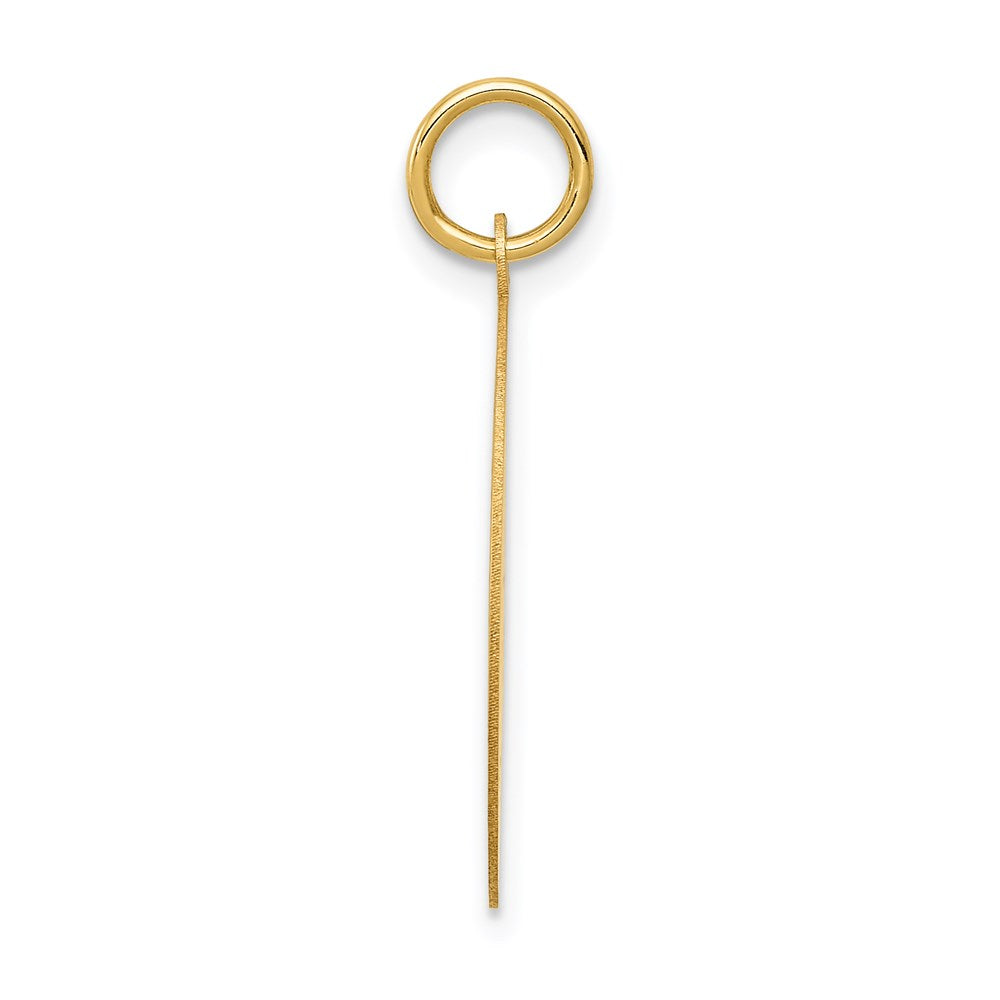 14K Gelbgold Wrestling Plättchen Charm