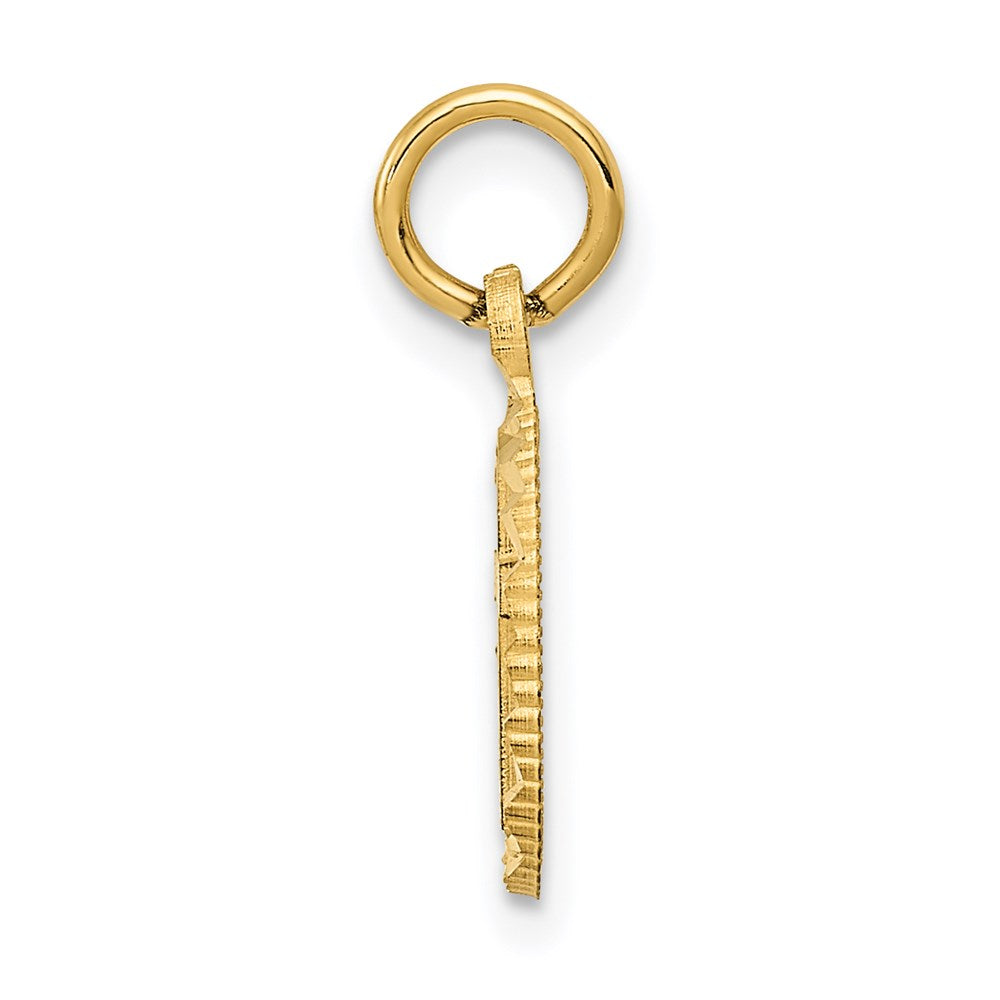 14K Gelbgold Eternal Leben Kreuz in Kreis Charm