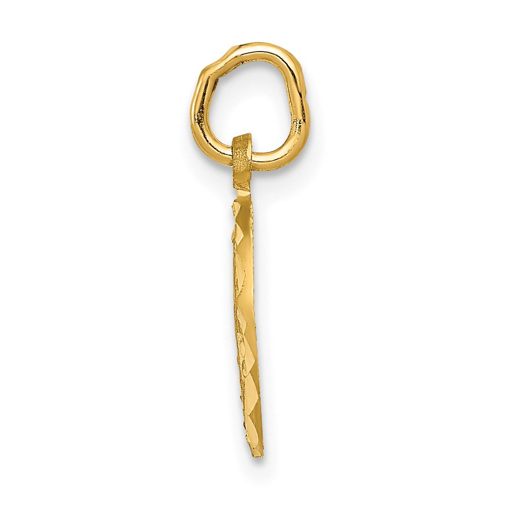 14K Gelbgold Eternal Leben Kreuz in Kreis Charm