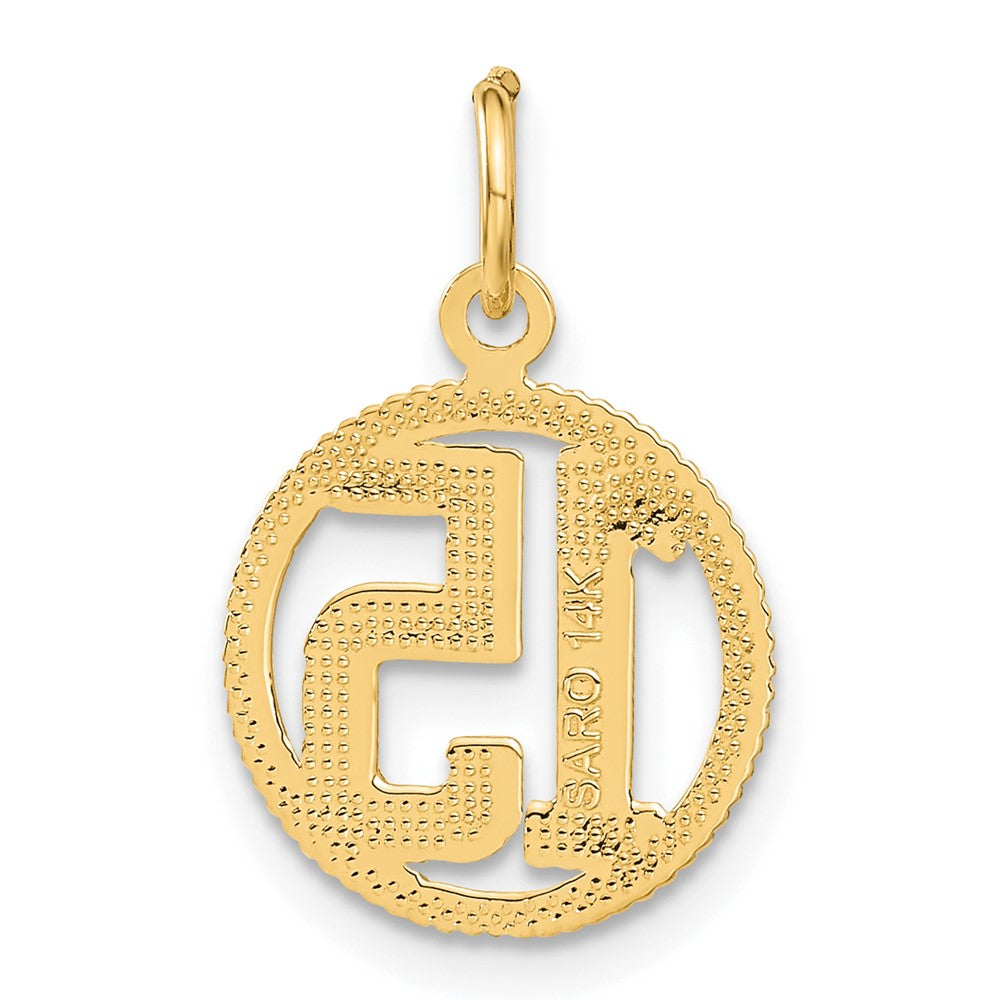 14K Gelbgold #15 Kreis Anhänger