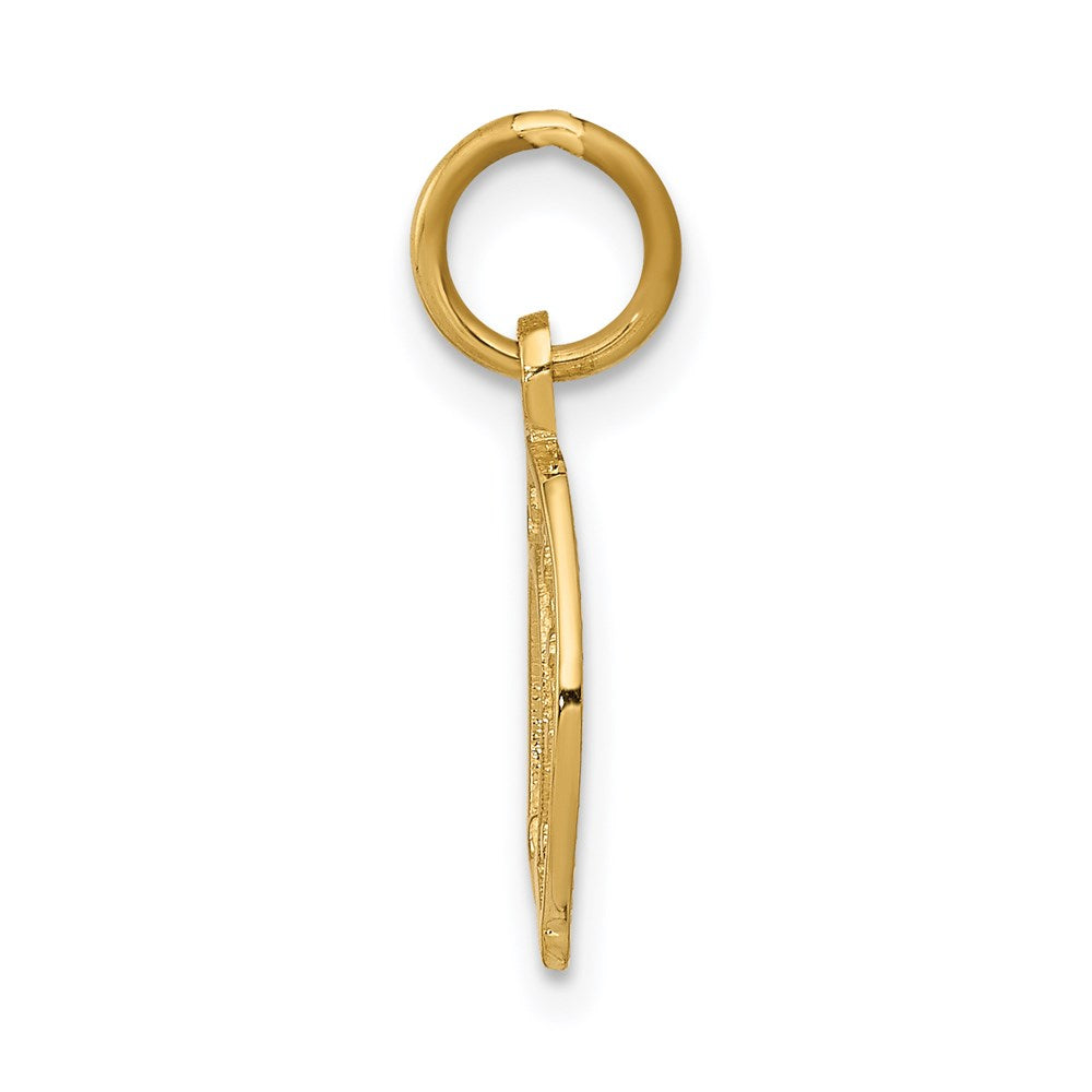 14K Gelbgold Hufeisen Charm