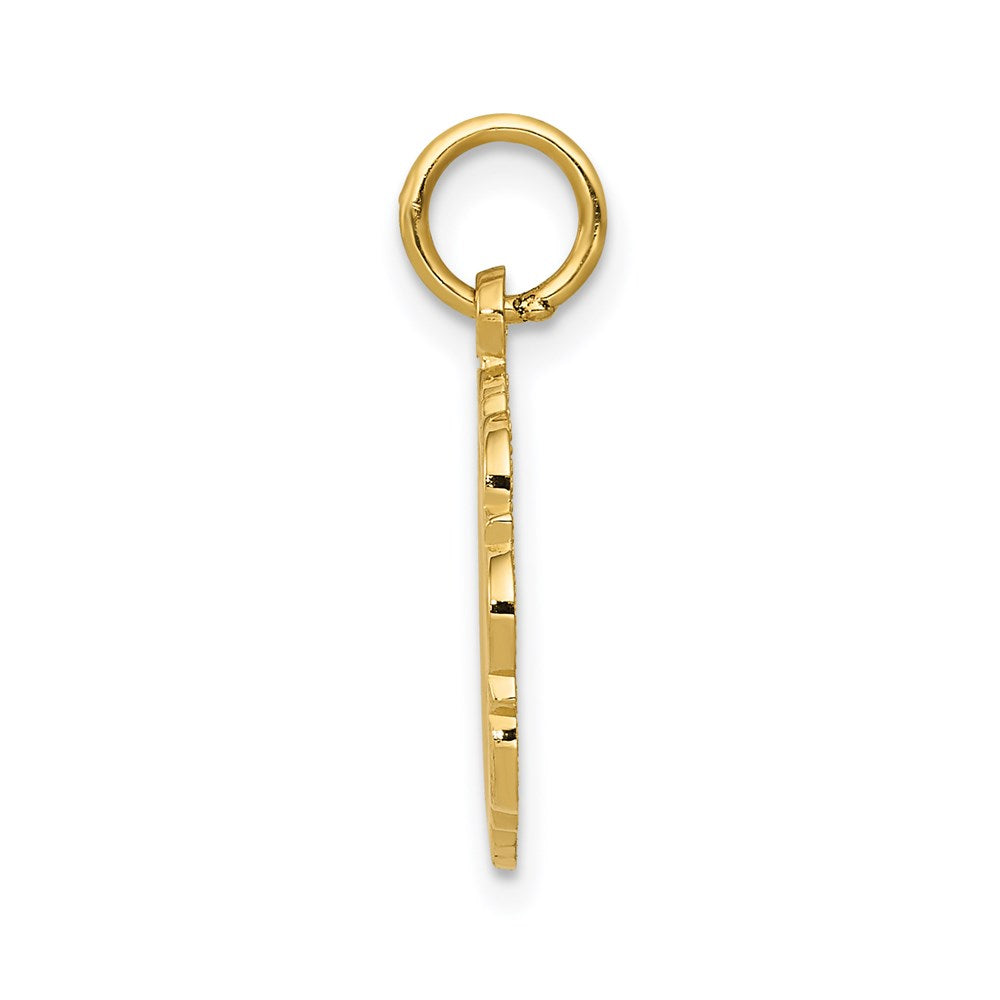 14K Gelbgold RN Registered Nurse Scheiben-Charm
