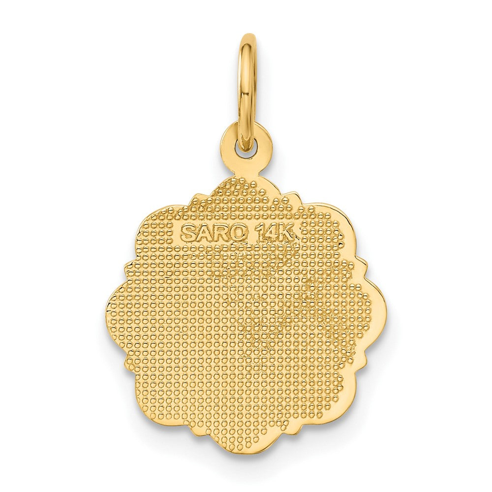 14K Gelbgold RN Registered Nurse Scheiben-Charm