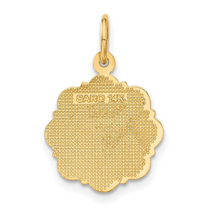 14K Gelbgold RN Registered Nurse Scheiben-Charm