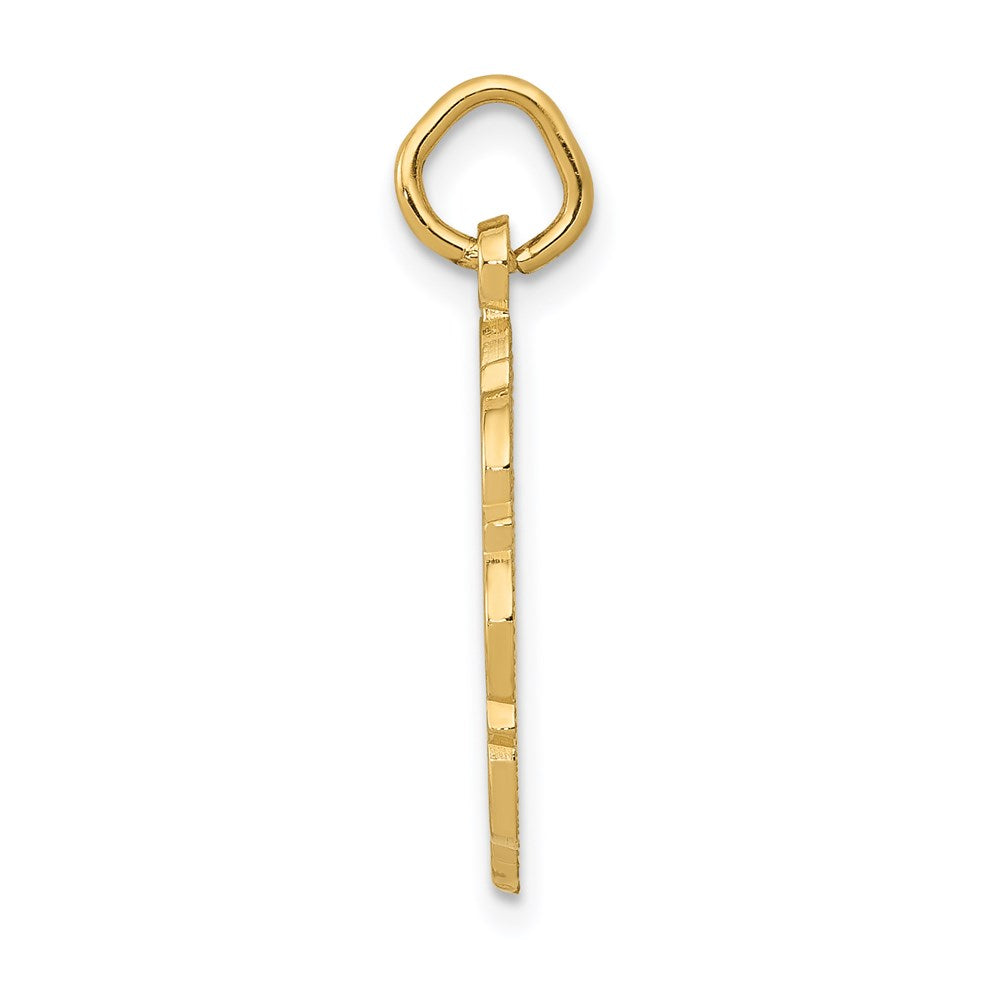 14K Gelbgold RN Registered Nurse Scheiben-Charm