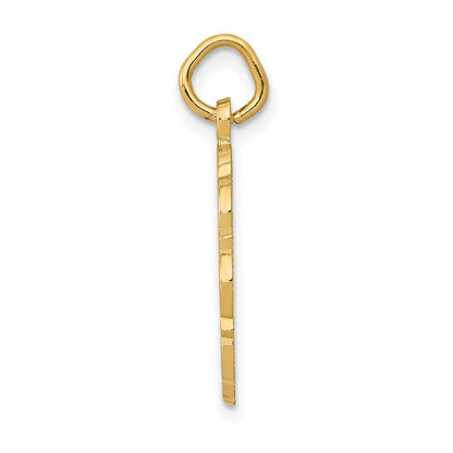 14K Gelbgold RN Registered Nurse Scheiben-Charm