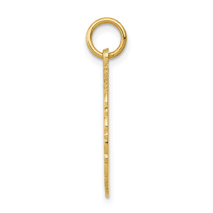 14K Gelbgold RN Registered Nurse Scheiben-Charm