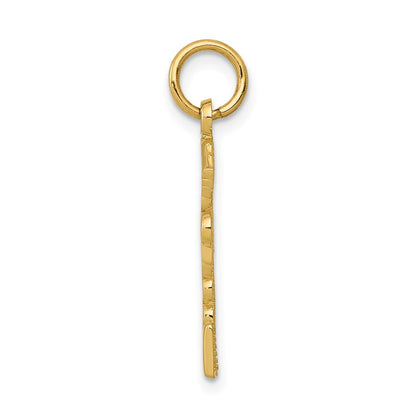14K Gelbgold Registered Krankenschwester Practitioner Charm