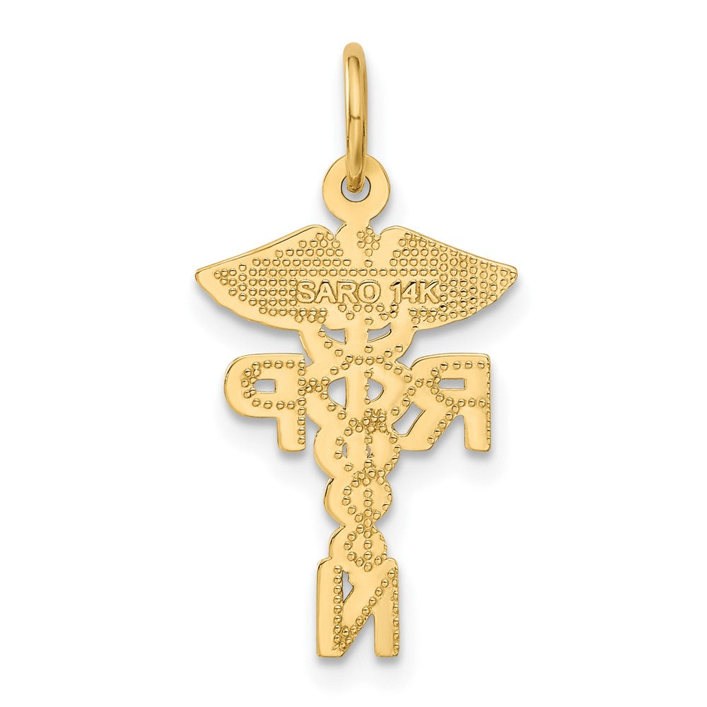 14K Gelbgold Registered Krankenschwester Practitioner Charm