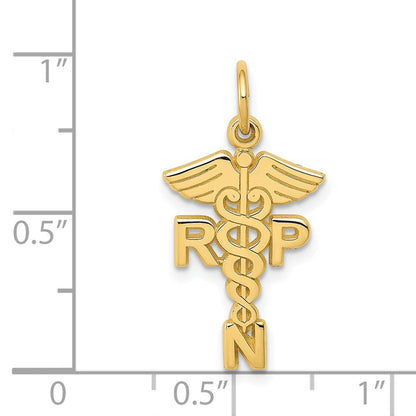 14K Gelbgold Registered Krankenschwester Practitioner Charm