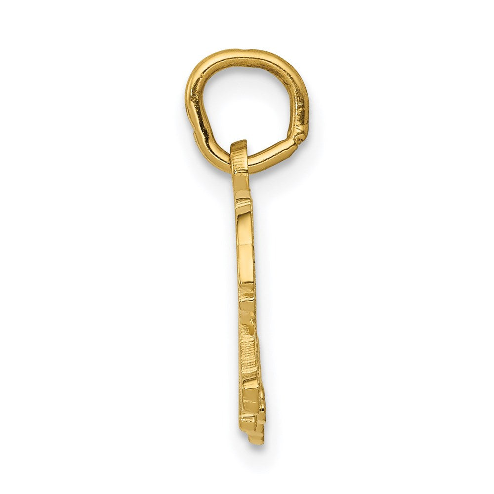14K Gelbgold Tiger Charm
