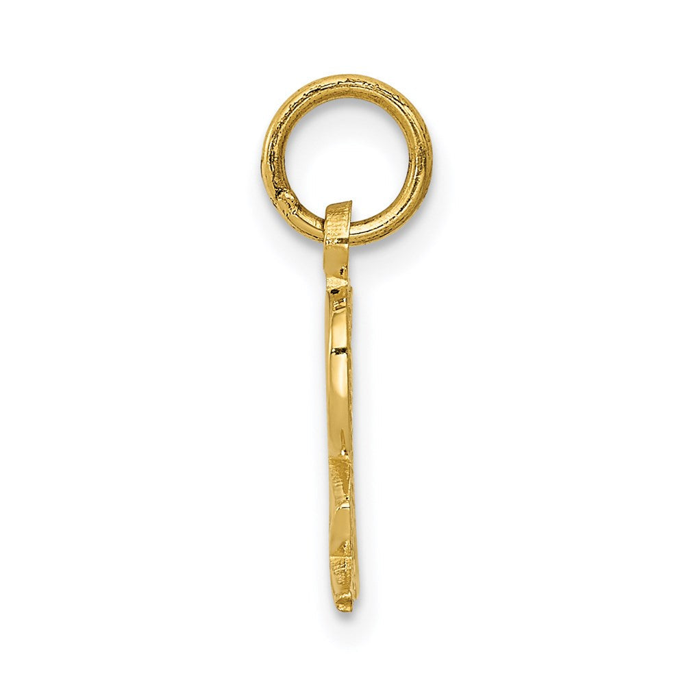 14K Gelbgold Prescription Symbol Rx Charm