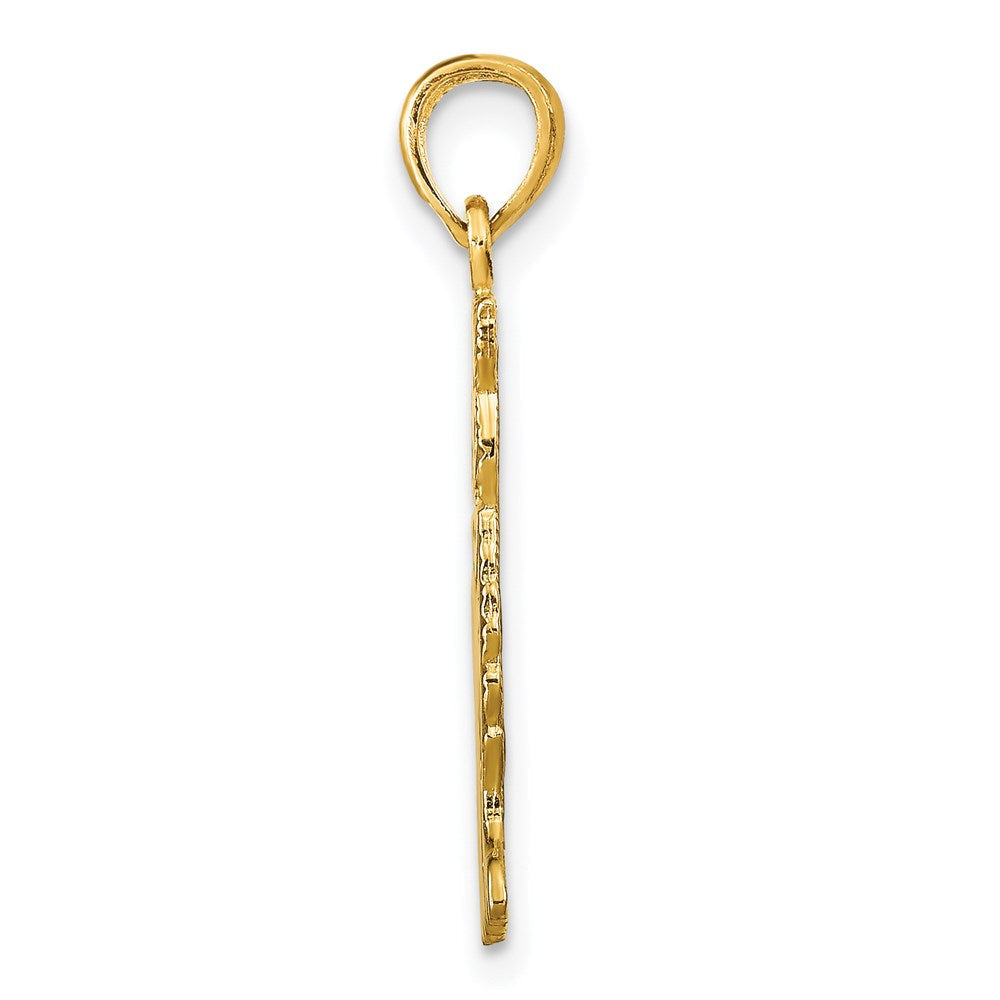 14K Gelbgold Polierter Katzen-Charm