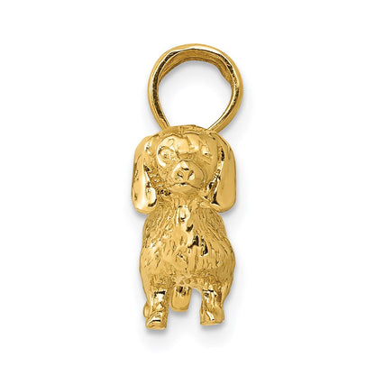 14K Gelbgold massiver polierter 3-D Rauhaardackel-Charm