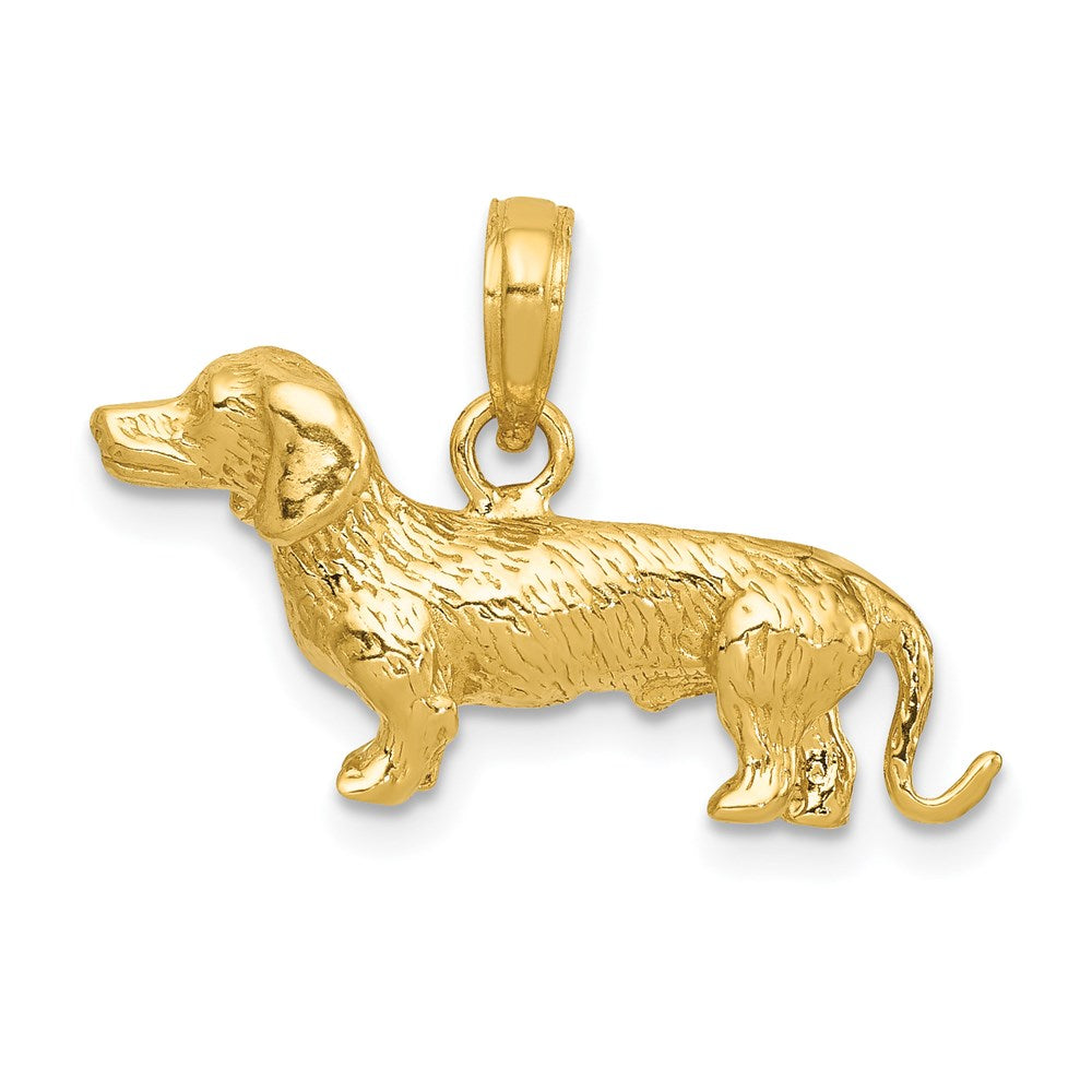 14K Gelbgold massiver polierter 3-D Rauhaardackel-Charm