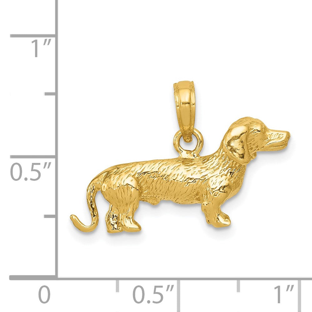 14K Gelbgold massiver polierter 3-D Rauhaardackel-Charm