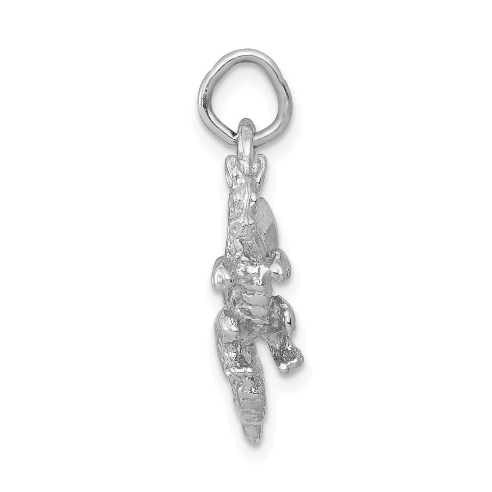 14 Karat Weißgold massiver, polierter 3-D-Drachen-Charm