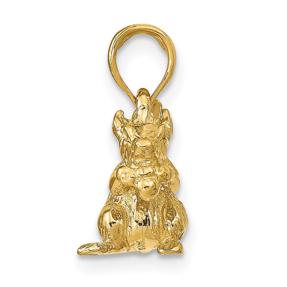 14K Gelbgold massiver 3-D-Eichhörnchen-Anhänger mit Nuss