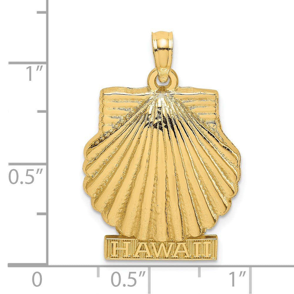 14K Gelbgold Massiv Poliert HAWAII Muschel-Charm mit Wellenrand