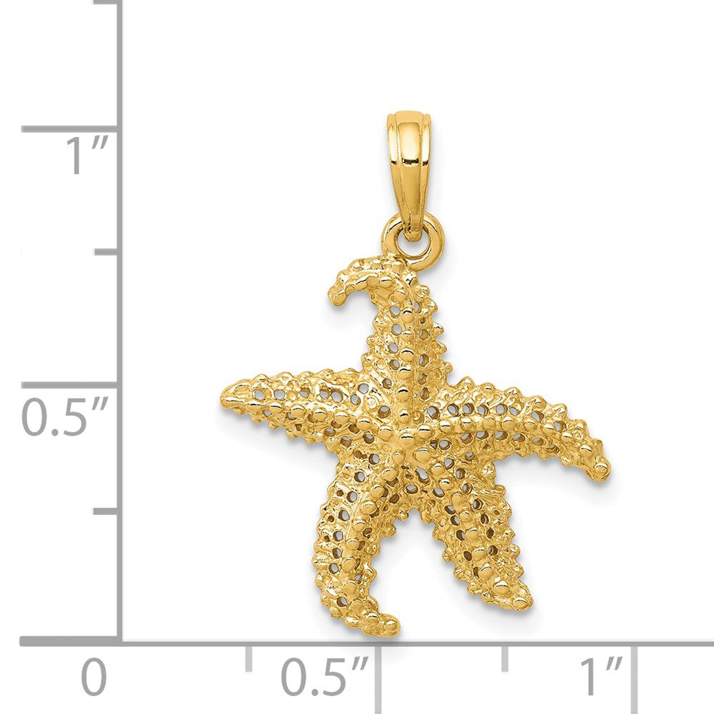 14K Gelbgold Polierter Offener Seestern-Anhänger