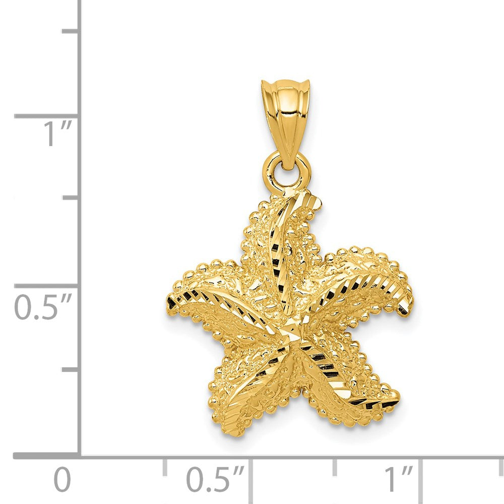 14K Gelbgold Polierter Offener Seestern-Anhänger