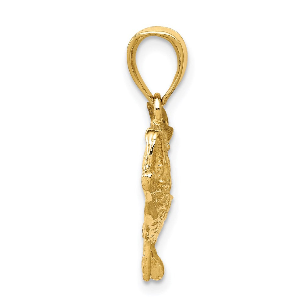 14K Gelbgold Polierter Offener Barsch-Fisch-Anhänger