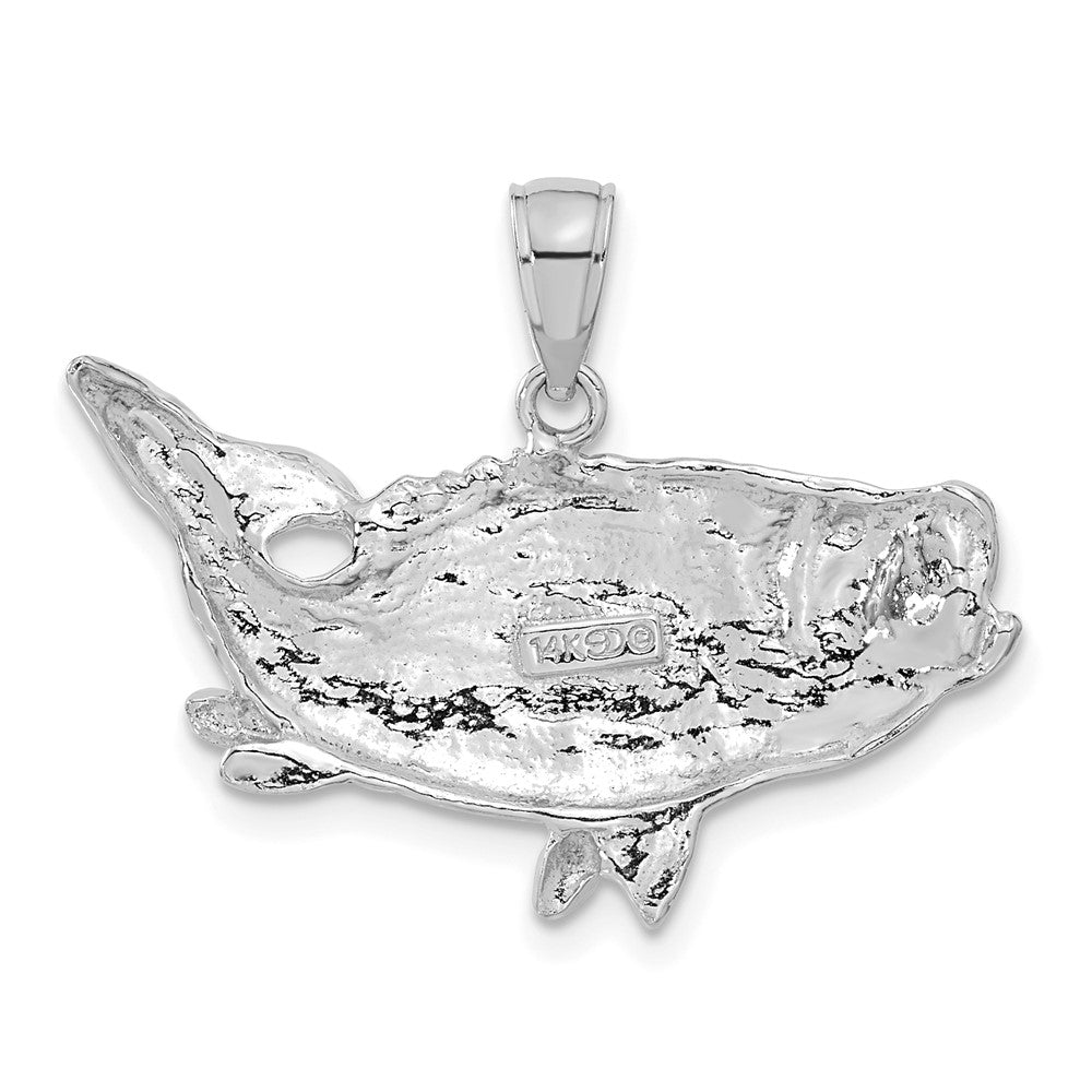 14K Weißgold Polierter Offener Bass-Fisch-Anhänger