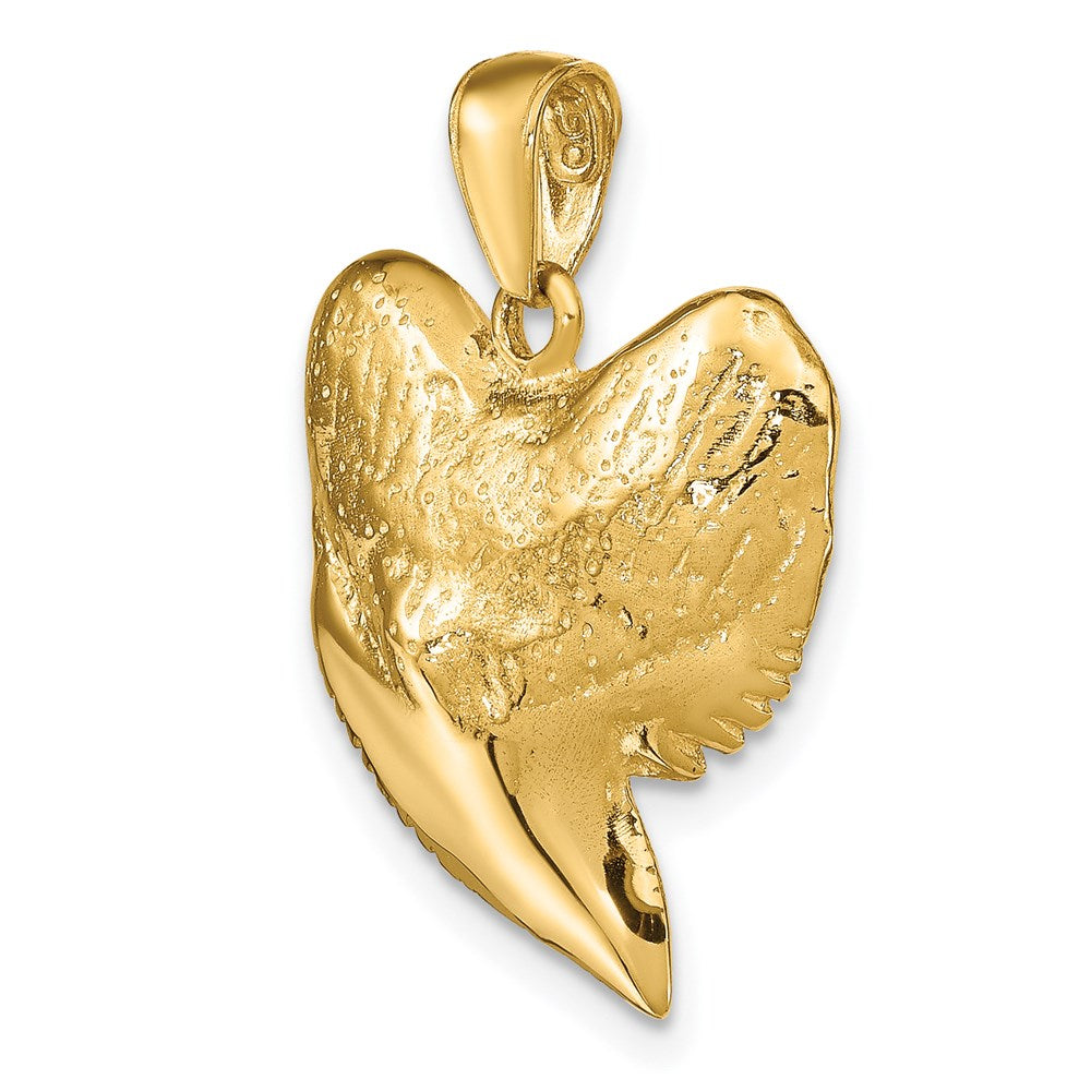 14K Gelbgold massiver polierter 3-D Hai-Zahn-Anhänger