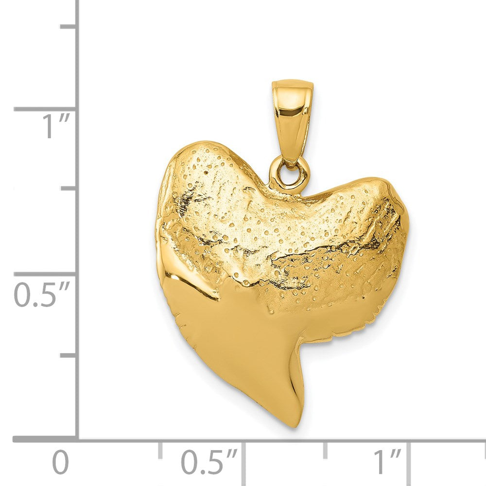 14K Gelbgold massiver polierter 3-D Hai-Zahn-Anhänger