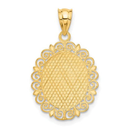 14K Gelbgold massiver satinierter, polierter Skorpion-Sternzeichen-Anhänger oval