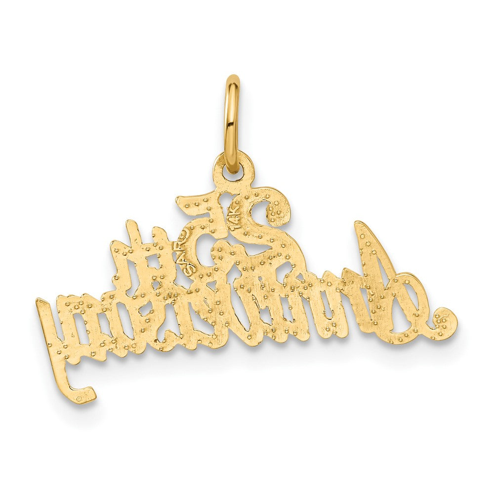 14K Gelbgold 25th Jahrestag Charm