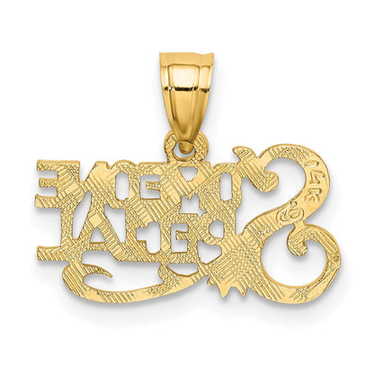14K Gelbgold Someone Special Charm
