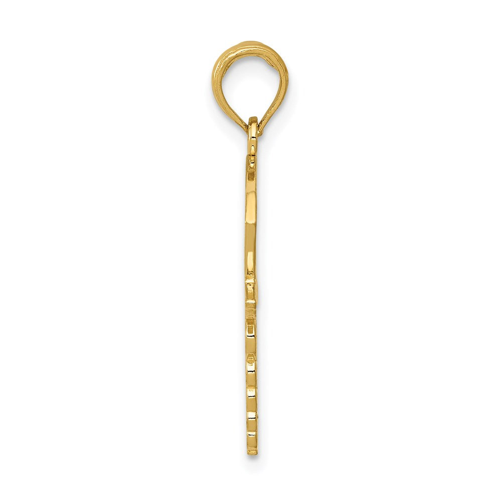14K Gelbgold Caduceus mit Nurses Cap Anhänger