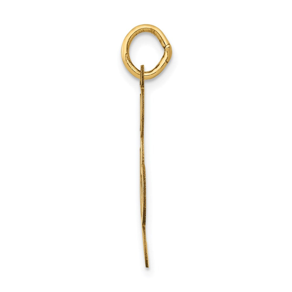 14K Gelbgold Poliert Noten Schlüssel Charm