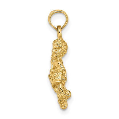 14K Gelbgold 3-D Wassermann Sternzeichen-Charm