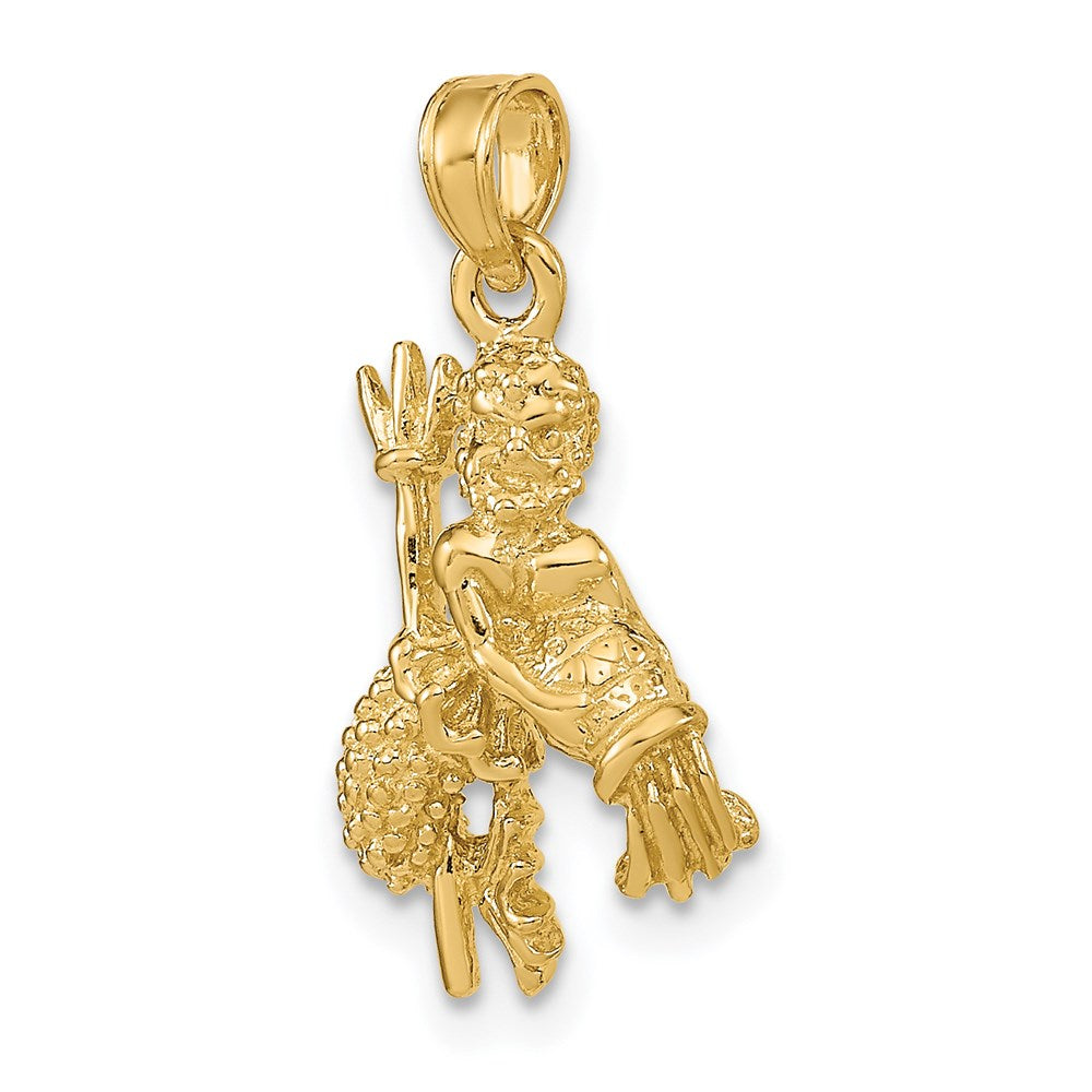 14K Gelbgold 3-D Wassermann Sternzeichen-Charm