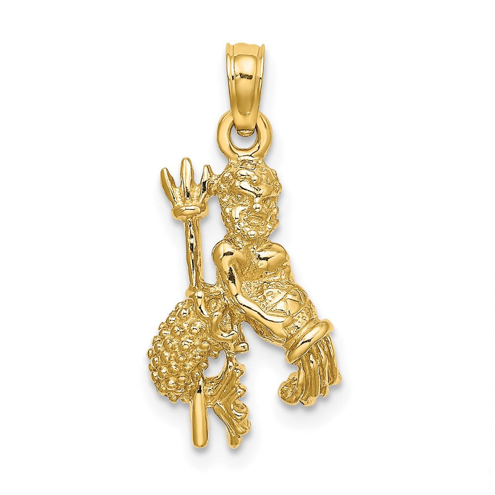 14K Gelbgold 3-D Wassermann Sternzeichen-Charm