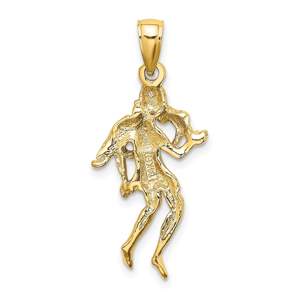 14K Gelbgold Großer Jungfrau Sternzeichen-Charm