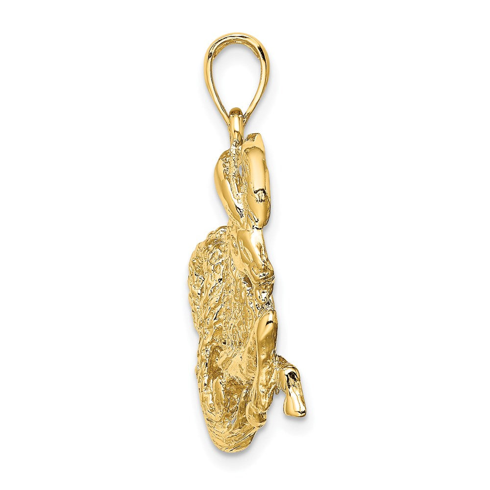 14K Gelbgold Großer Steinbock-Sternzeichen-Charm
