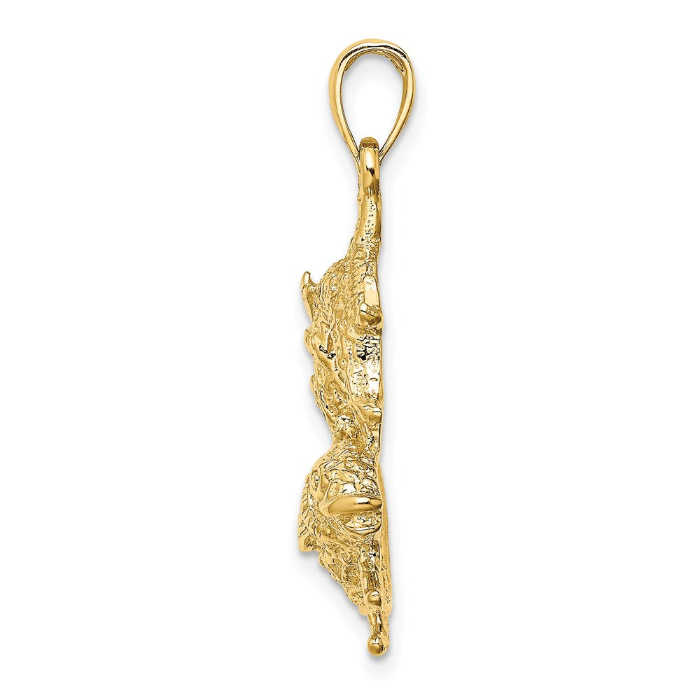 14 Karat Gelbgold Großer Fische-Sternzeichen-Charm
