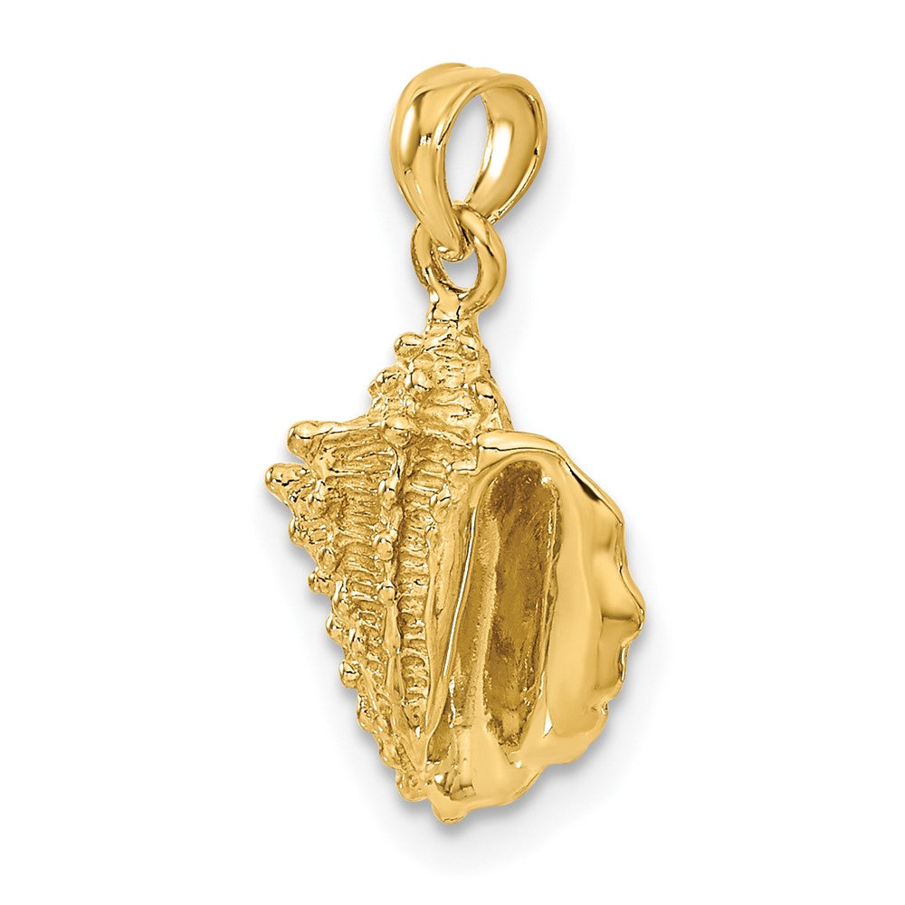 14K Gelbgold Massiv Poliert Conch Muschel Anhänger