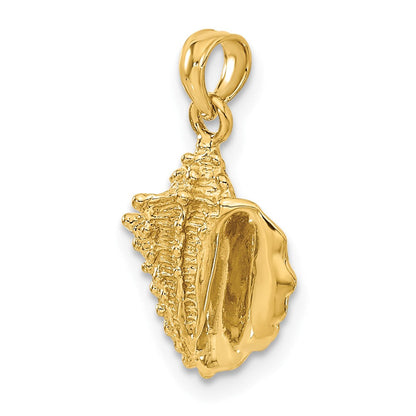 14K Gelbgold Massiv Poliert Conch Muschel Anhänger