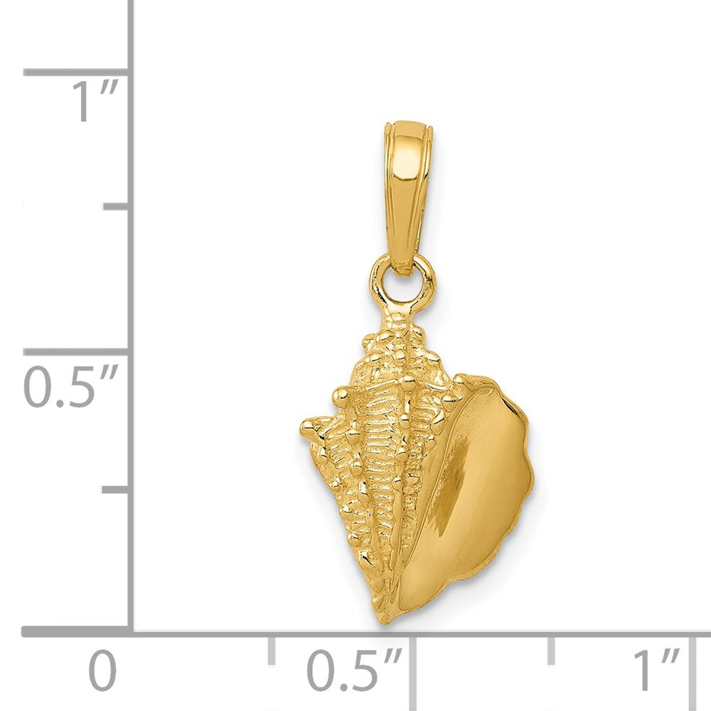 14K Gelbgold Massiv Poliert Conch Muschel Anhänger