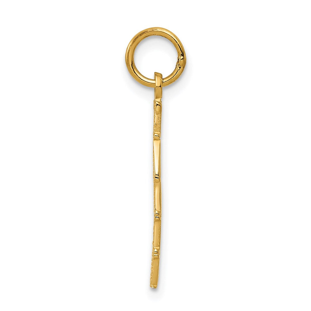 14K Gelbgold Poliert Taken Charm