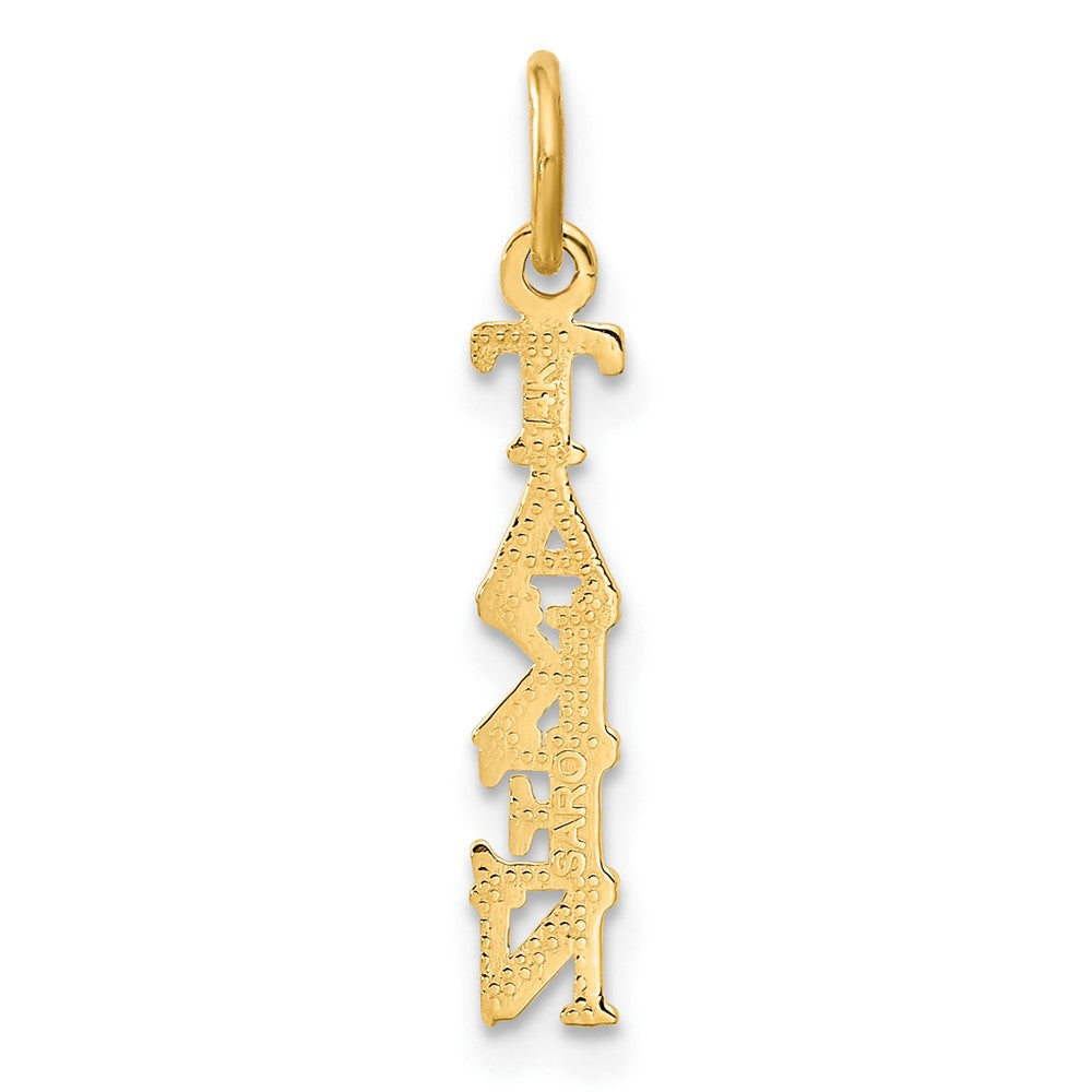 14K Gelbgold Poliert Taken Charm