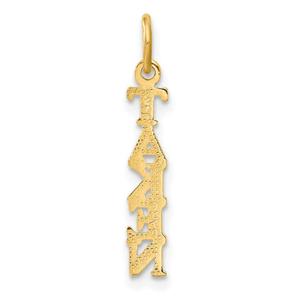 14K Gelbgold Poliert Taken Charm