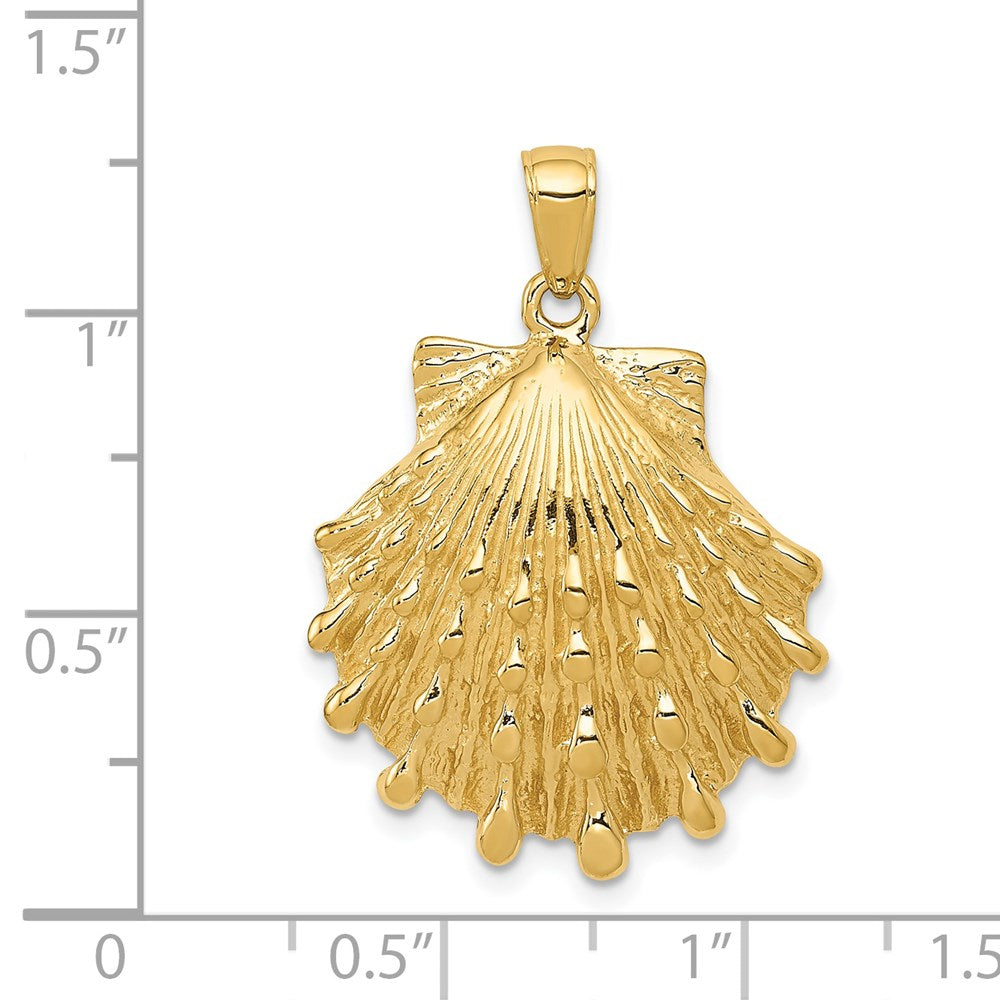 14K Gelbgold Löwenpfoten-Muschel-Anhänger