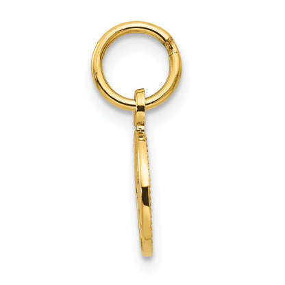 14K Gelbgold Klein Poliert Engel Charm
